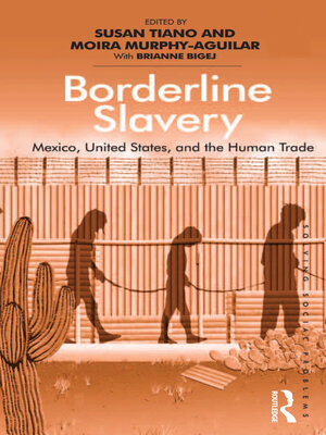 cover image of Borderline Slavery